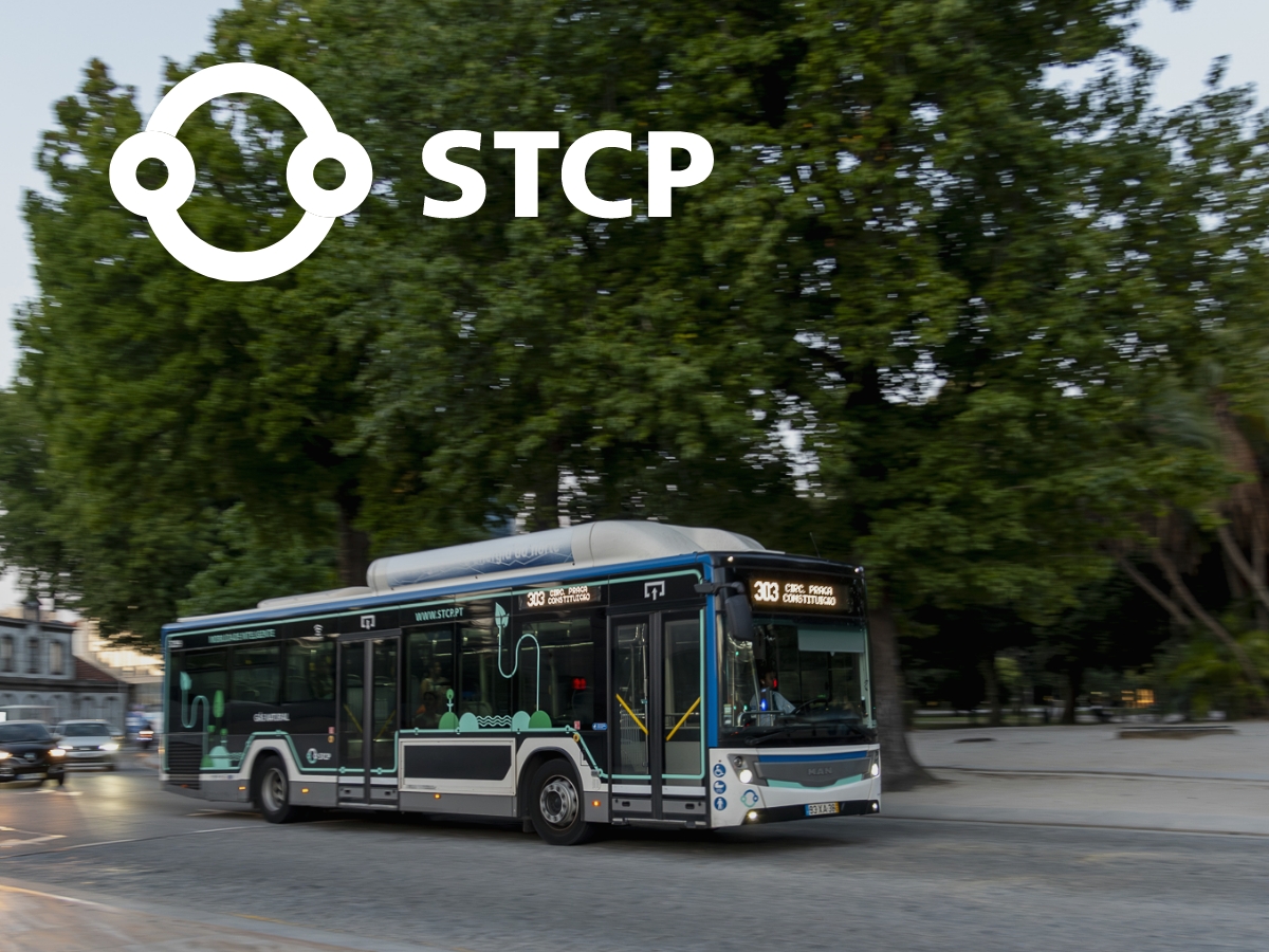 stcp logo