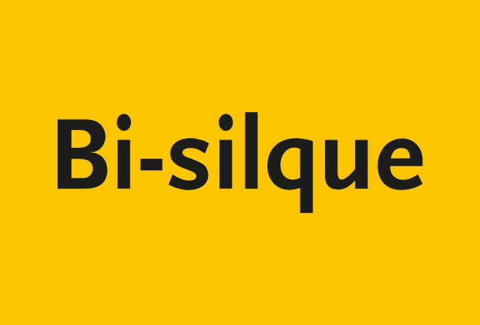 Bi-Silque